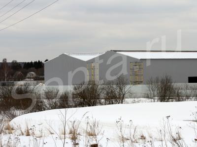 ������������ ����� � 100� �� ��������� �����