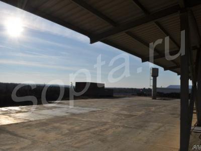 ������� �������� ���������